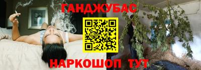 тгк Камышлов